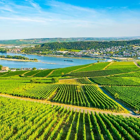 Labed - Wohnen Direkt An Der Drosselgasse, Stilvolle Mit Rheinblick *