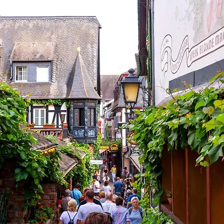Labed - Wohnen Direkt An Der Drosselgasse, Stilvolle Mit Rheinblick