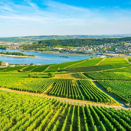 Rhine View By The Drosselgasse! Ruedesheim am Rhein