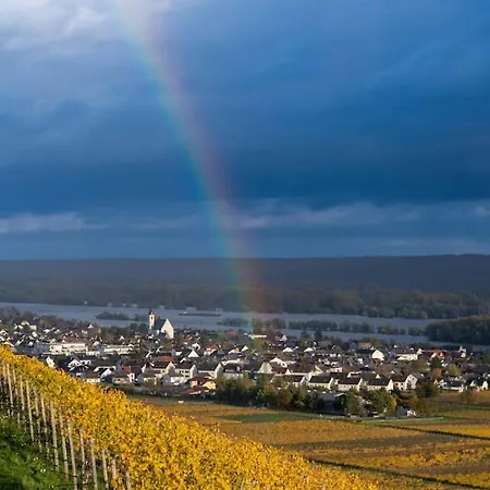 Apartment Rhine View By The Drosselgasse! *