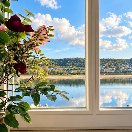 Rhine View By The Drosselgasse! Apartment Ruedesheim am Rhein