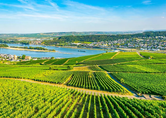 Labed - Wohnen Direkt An Der Drosselgasse, Stilvolle Mit Rheinblick *